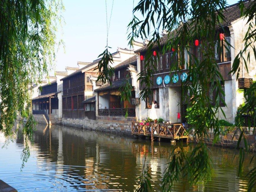奇点灰烬